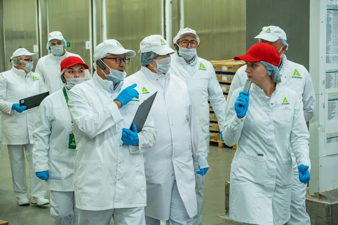 Прорубаем окно в Монголию Прорубаем окно в Монголию