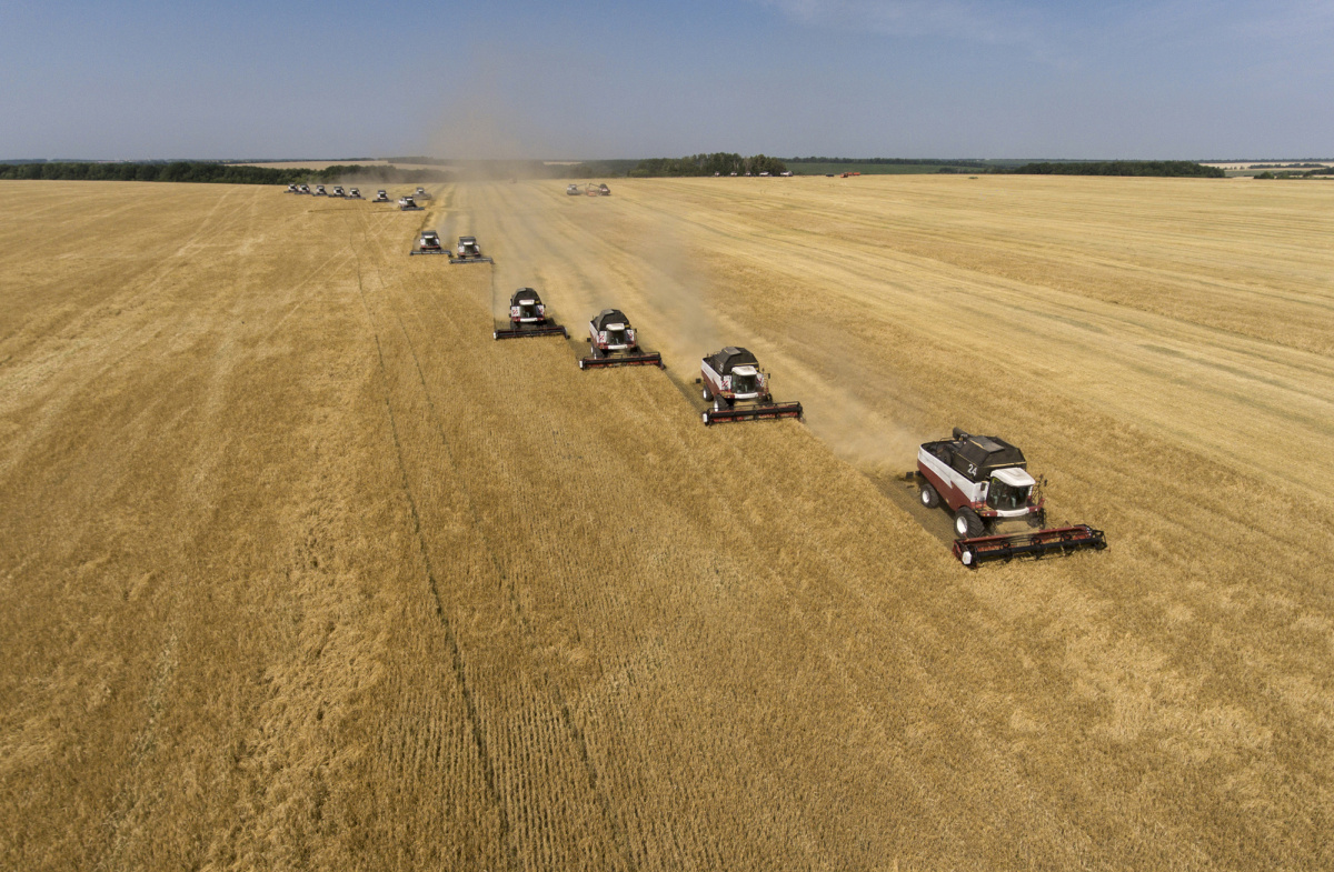 ГК "Агро-Белогорье": Озимая пшеница внушает оптимизм